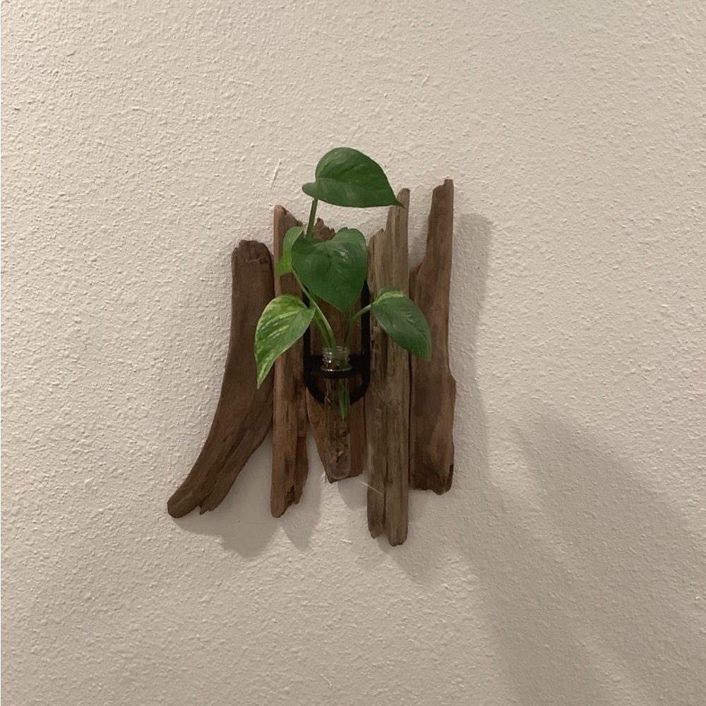 Driftwood Art , Driftwood Hanging Plant Station, Coastal Art